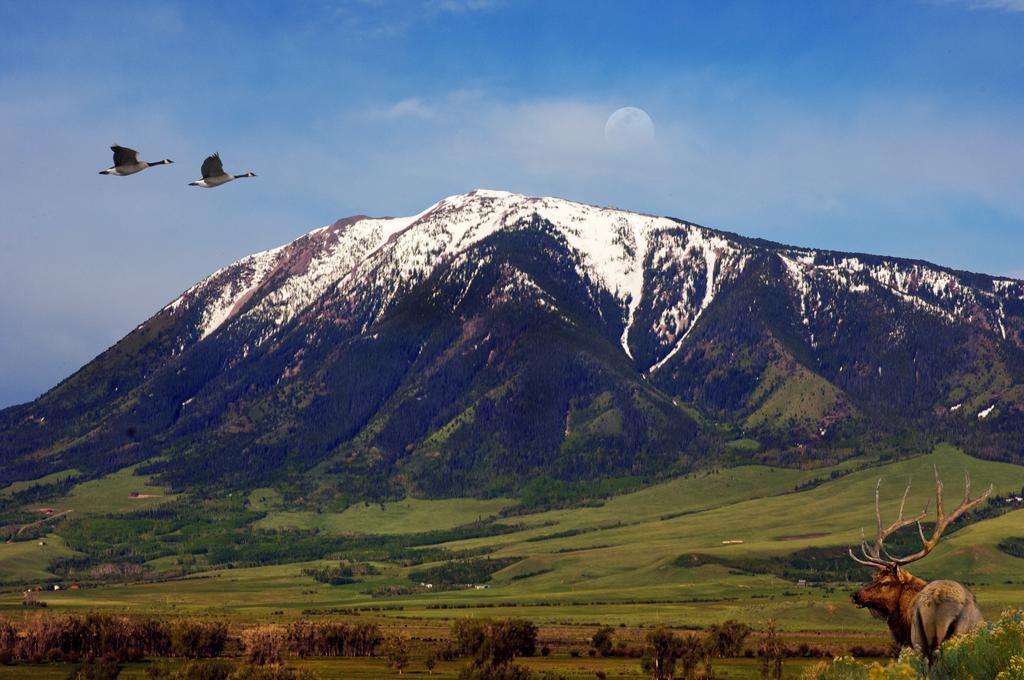 The Historic Elk Mountain Hotel Luaran gambar
