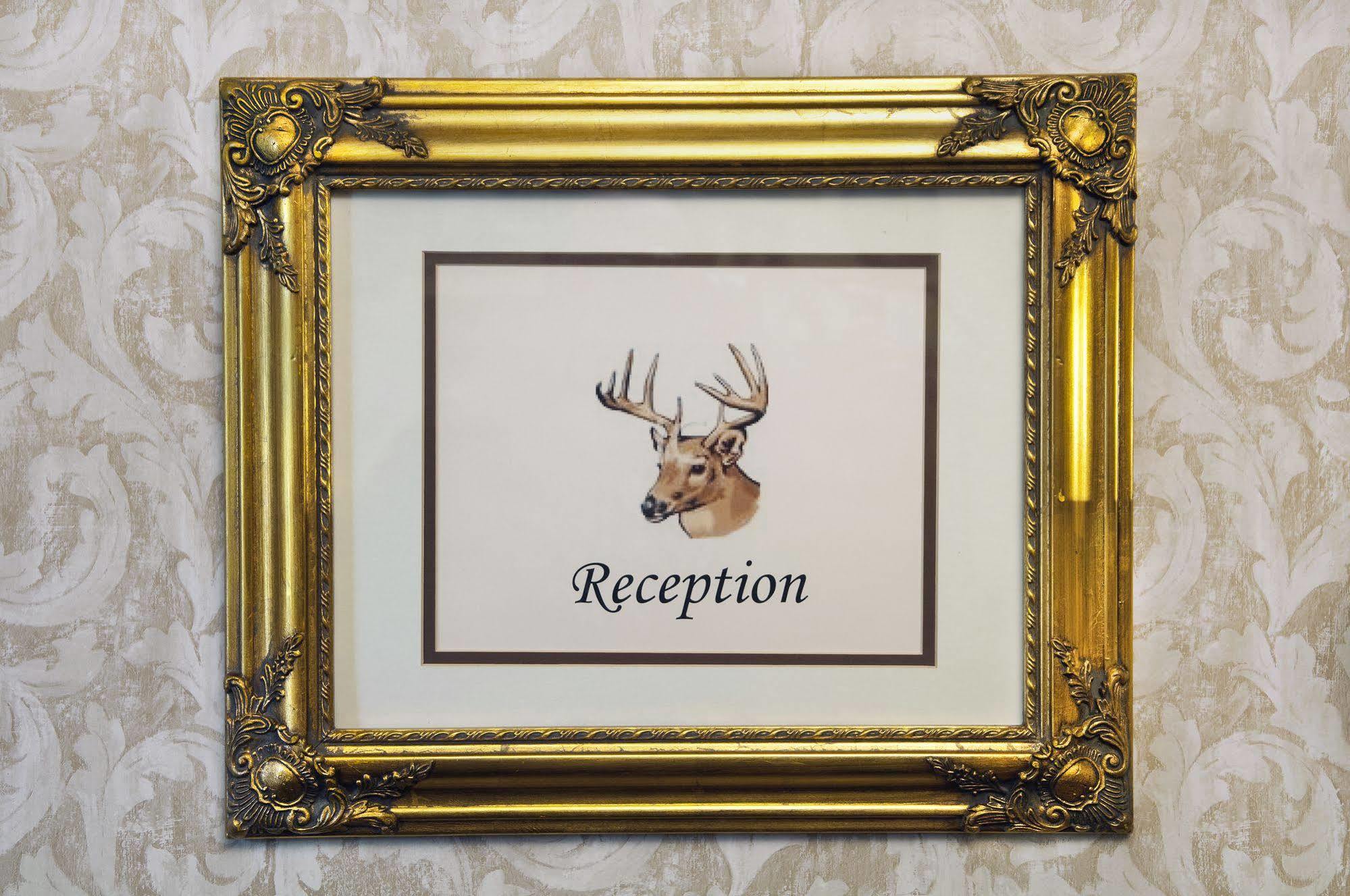 The Historic Elk Mountain Hotel Luaran gambar